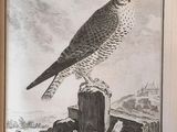an open book with a drawing of a falcon perched on a post
