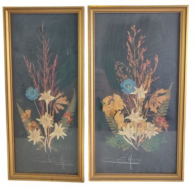 two framed floral prints of flowers and leaves on a black background