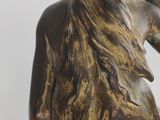bronze statue of a woman with a lion ' s head on her back