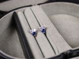 une paire de boucles d'oreilles en diamant bleu et blanc, dans un écrin