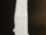 a close up of a piece of metal with a white substance on it