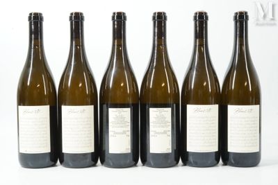 six bouteilles de vin sont alignées sur une surface blanche