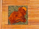 a picture of a piece of wood on the grass