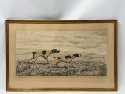 une vieille photo montrant deux chiens courant dans un champ, avec le ciel en arrière-plan