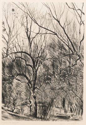 drawing of a black and white photo of trees in a park