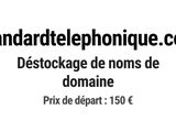 Photo 1/1 du lot