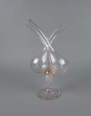 un vase en verre transparent contenant deux fleurs en verre