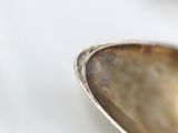 a spoon that has some kind of food in it