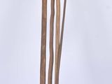 three sticks sticking out of the water in a vase