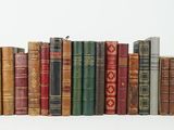 a lot of books that are stacked together on a shelf
