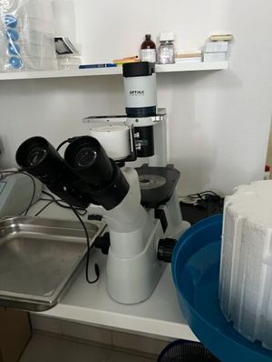 un gâteau posé sur un plan de travail, à côté d'un microscope