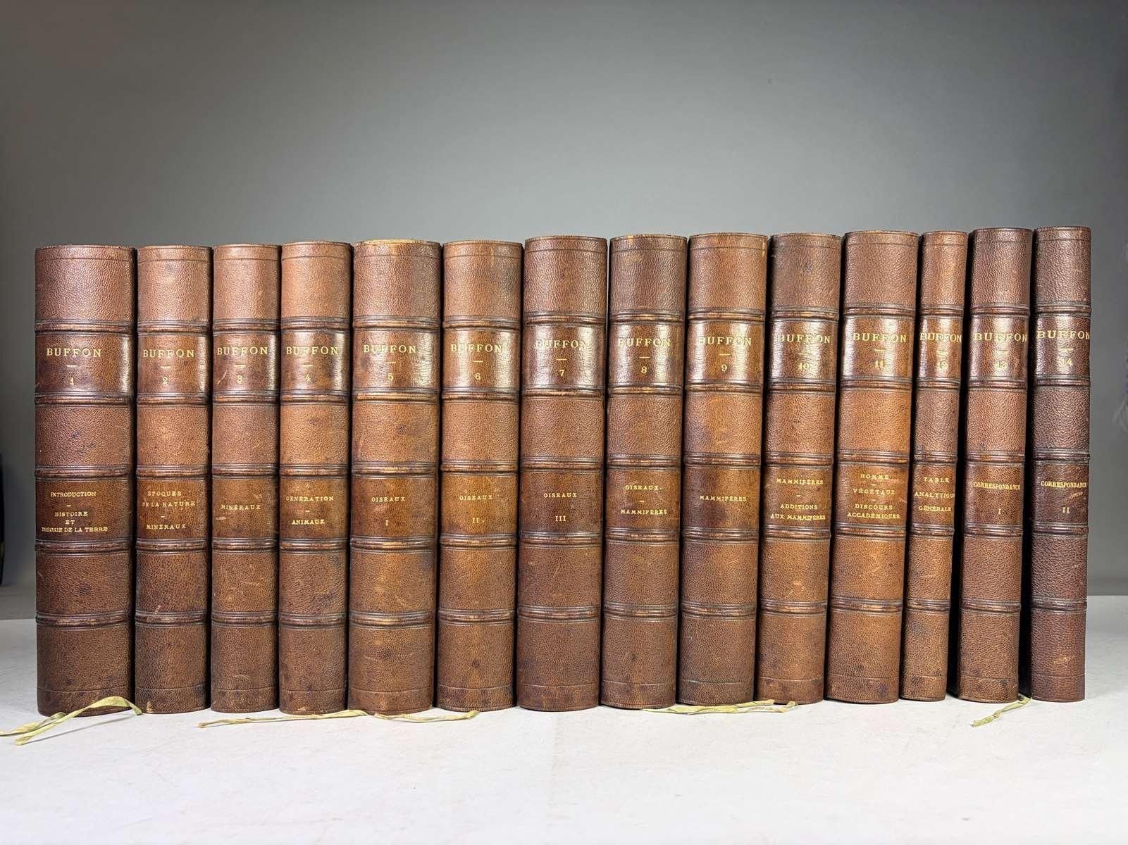 Objets d'art & Curiosités