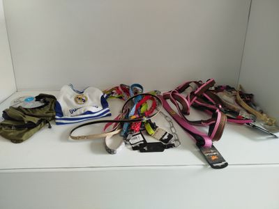 GROS LOT - FERPLAST KARLIE REAL MADRID - Accessoires selleri…