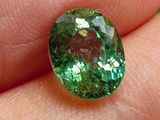 Des tourmalines vertes sont tenues dans la main d'une personne