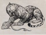 a drawing of a tiger with a snake in it ' s mouth