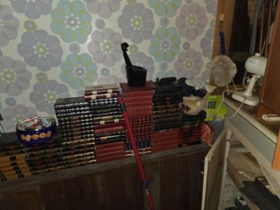 un chat assis sur une pile de livres dans une pièce