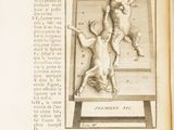 an open book with a picture of a man and a dog on it