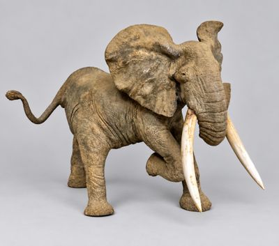 statue of an elephant with tusks and tusks on a gray background