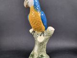 an image of a blue and yellow parrot sitting on a branch