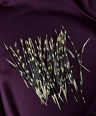 un gros plan sur un tas de brindilles posées sur un tissu violet