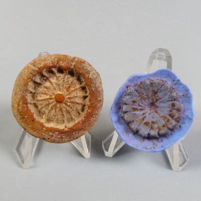 trois types différents de tartes présentés sur des présentoirs transparents