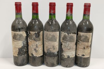 six bouteilles de vin sont alignées sur une surface blanche