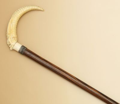 CANNE en ébène de Macassar Pommeau en os courbé sculpté à dé… - Photo 1