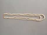 un gros plan sur un collier de perles blanches muni d'un fermoir doré