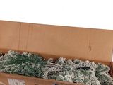 une boîte en carton contenant plusieurs plantes vertes et blanches