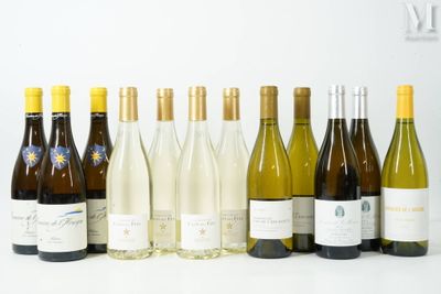 plusieurs bouteilles de vin sont alignées sur une surface blanche
