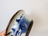 une personne tenant une tasse bleue et blanche à la main