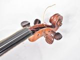 a close up of a violin that is on a white surface