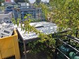 beaucoup de déchets par terre, près d'un arbre