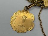 an image of a gold necklace with a medallion on it
