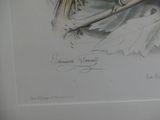 a drawing of a bird sitting on a branch of a tree