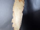 a knife that has been cut in half on a table