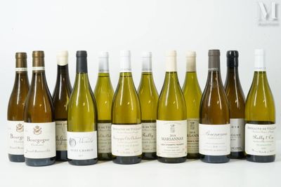plusieurs bouteilles de vin sont alignées sur une surface blanche