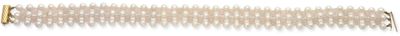a blurry photo of a comb on a white background
