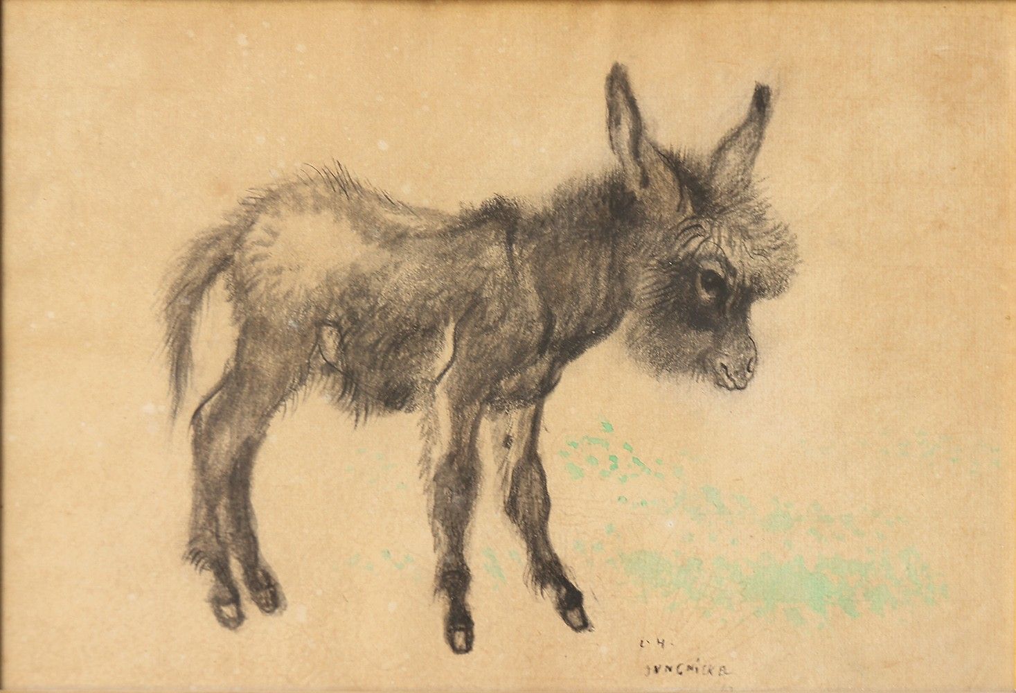 Objets d'art & Curiosités