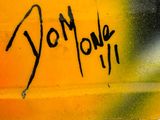 Photo 8/8 du lot