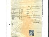 l'image d'un document sur lequel figure la photo d'une personne