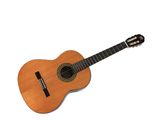 a close up of an acoustic guitar on a white background