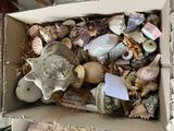 une boîte remplie de coquillages et d'autres objets