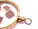 a close up of a magnifying glass with flowers in it