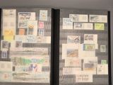 a picture of a couple of pictures hanging on the wall