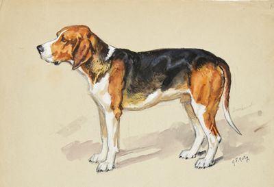 tableau représentant un beagle debout dans le sable, la tête tournée sur le côté