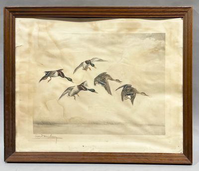 an old picture of a flock of birds flying in the sky