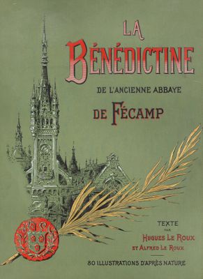 une image représentant la couverture d'un livre avec un château en arrière-plan