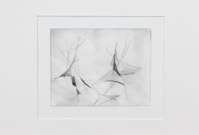 une image représentant un dessin en noir et blanc d'oiseaux en plein vol