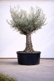 Destockage & Invendus